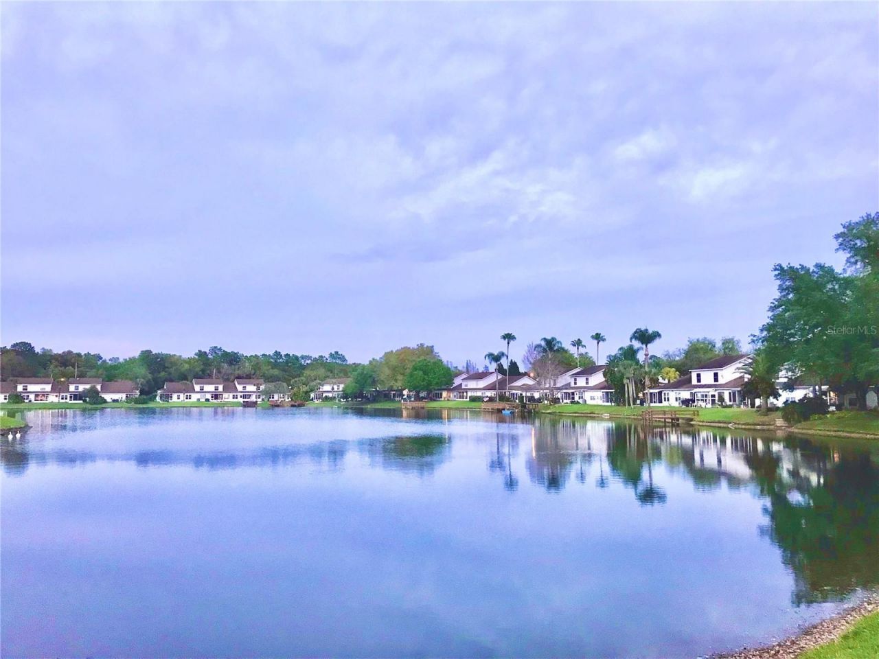 1828 Osprey Lane, Lutz, FL 33549 Photo