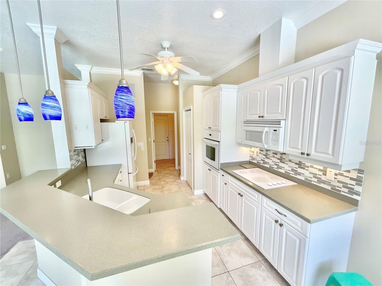 1828 Osprey Lane, Lutz, FL 33549 Photo