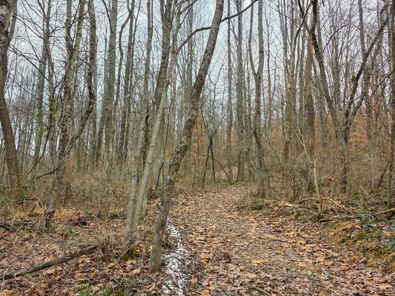 7905 Scenic Rd SE, Unit (Lot 13 at, Corning, OH 43730 Photo 12