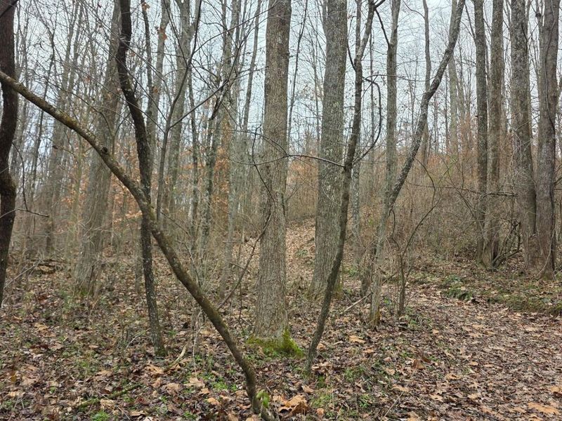 7905 Scenic Rd SE, Unit (Lot 13 at, Corning, OH 43730 Photo 13