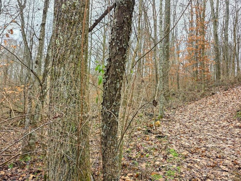 7905 Scenic Rd SE, Unit (Lot 13 at, Corning, OH 43730 Photo 14