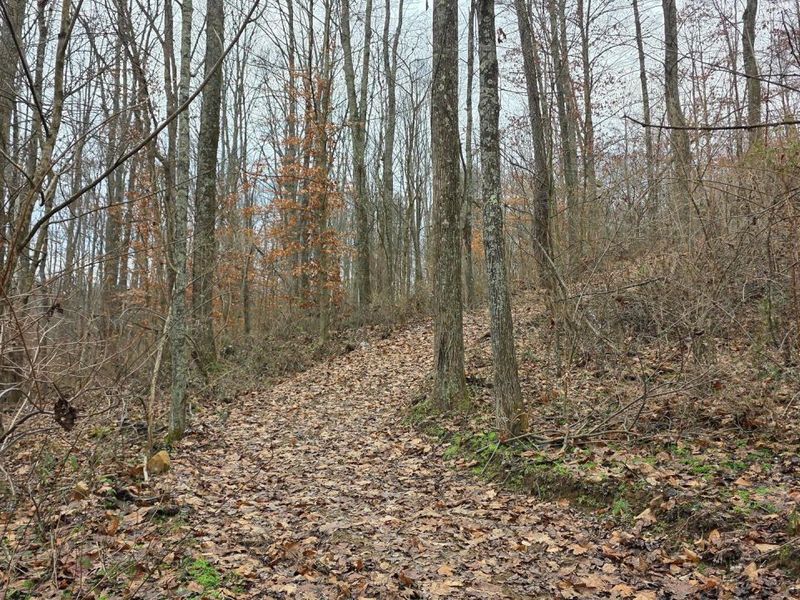 7905 Scenic Rd SE, Unit (Lot 13 at, Corning, OH 43730 Photo 15