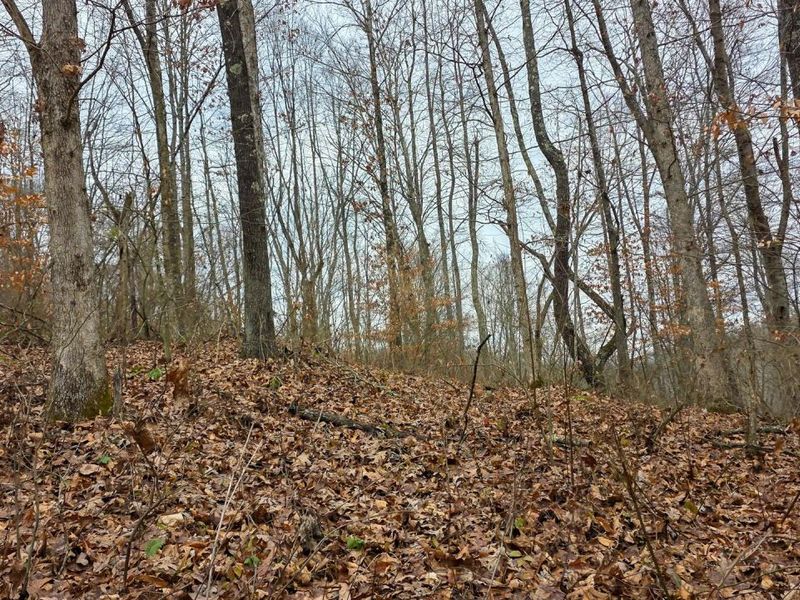 7905 Scenic Rd SE, Unit (Lot 13 at, Corning, OH 43730 Photo 16