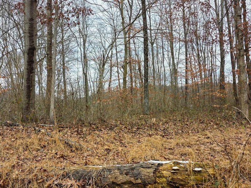 7905 Scenic Rd SE, Unit (Lot 13 at, Corning, OH 43730 Photo 18