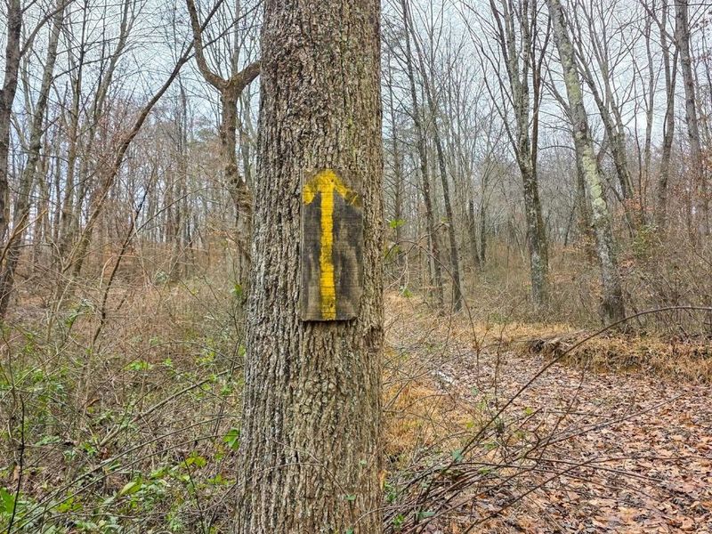 7905 Scenic Rd SE, Unit (Lot 13 at, Corning, OH 43730 Photo 19