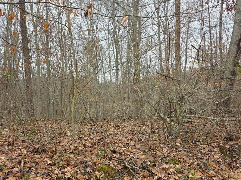 7905 Scenic Rd SE, Unit (Lot 13 at, Corning, OH 43730 Photo 20