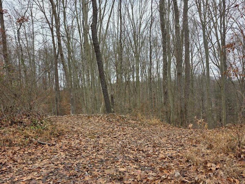 7905 Scenic Rd SE, Unit (Lot 13 at, Corning, OH 43730 Photo 21