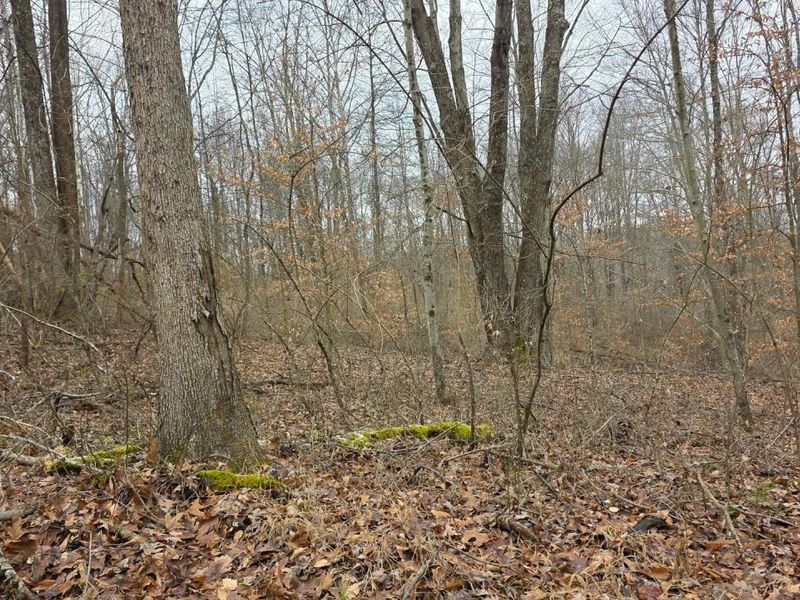 7905 Scenic Rd SE, Unit (Lot 13 at, Corning, OH 43730 Photo 23