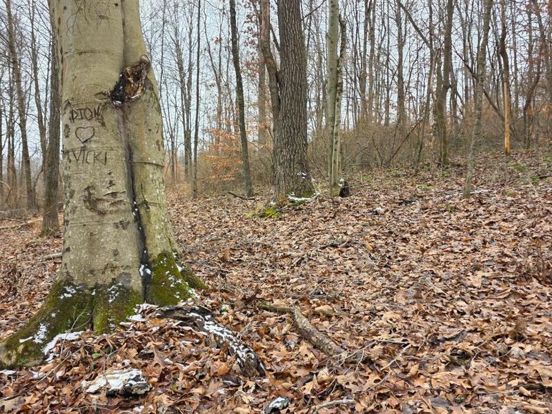 7905 Scenic Rd SE, Unit (Lot 13 at, Corning, OH 43730 Photo 24