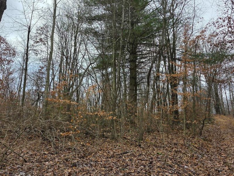 7905 Scenic Rd SE, Unit (Lot 13 at, Corning, OH 43730 Photo 25