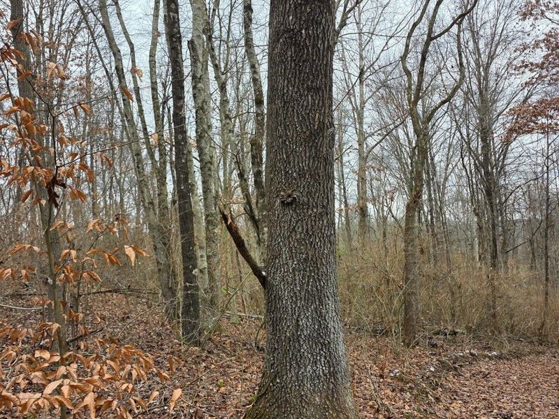 7905 Scenic Rd SE, Unit (Lot 13 at, Corning, OH 43730 Photo 26