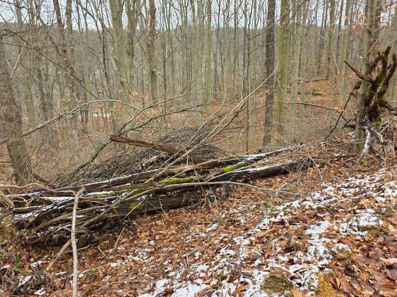 7905 Scenic Rd SE, Unit (Lot 13 at, Corning, OH 43730 Photo 29