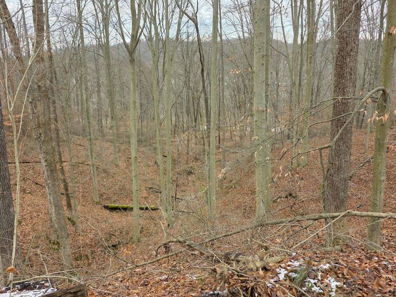 7905 Scenic Rd SE, Unit (Lot 13 at, Corning, OH 43730 Photo 30