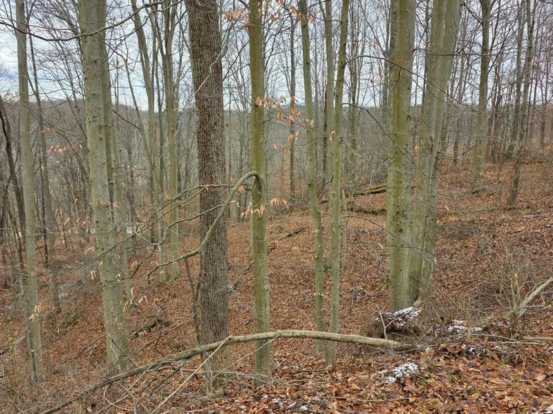 7905 Scenic Rd SE, Unit (Lot 13 at, Corning, OH 43730 Photo 31