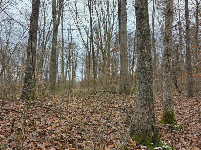 7905 Scenic Rd SE, Unit (Lot 13 at, Corning, OH 43730 Photo 33