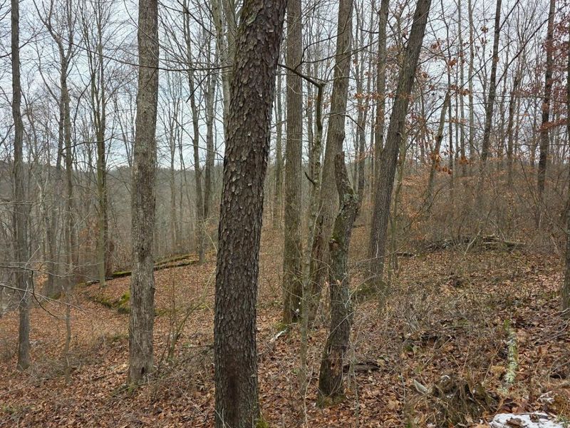 7905 Scenic Rd SE, Unit (Lot 13 at, Corning, OH 43730 Photo 34