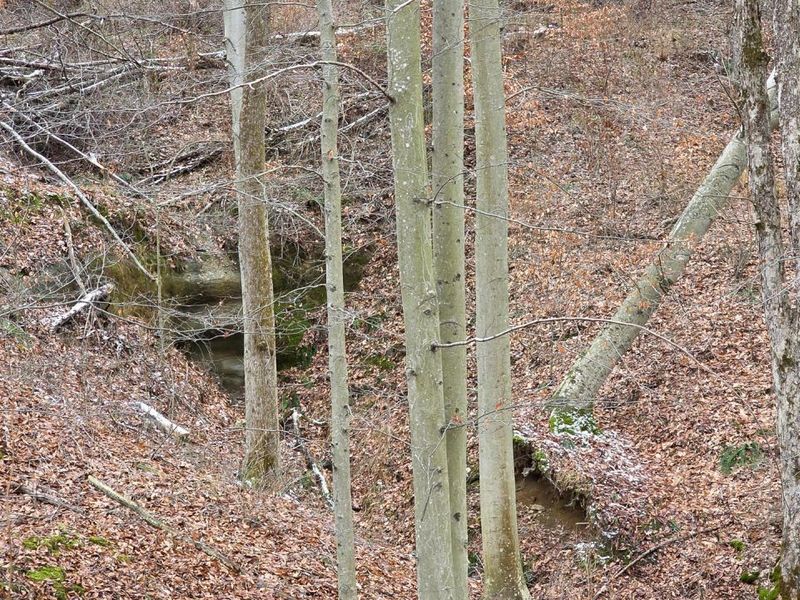 7905 Scenic Rd SE, Unit (Lot 13 at, Corning, OH 43730 Photo 36