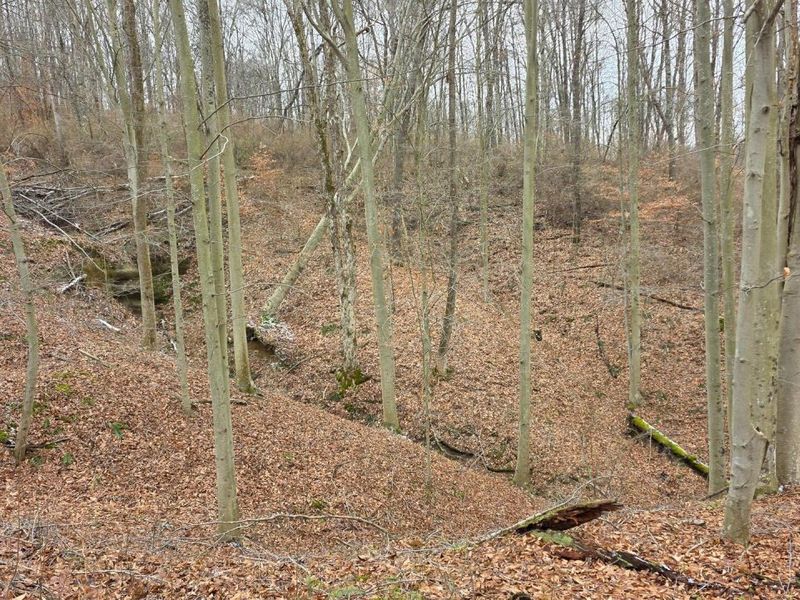 7905 Scenic Rd SE, Unit (Lot 13 at, Corning, OH 43730 Photo 37