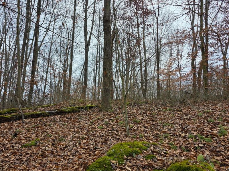 7905 Scenic Rd SE, Unit (Lot 13 at, Corning, OH 43730 Photo 38