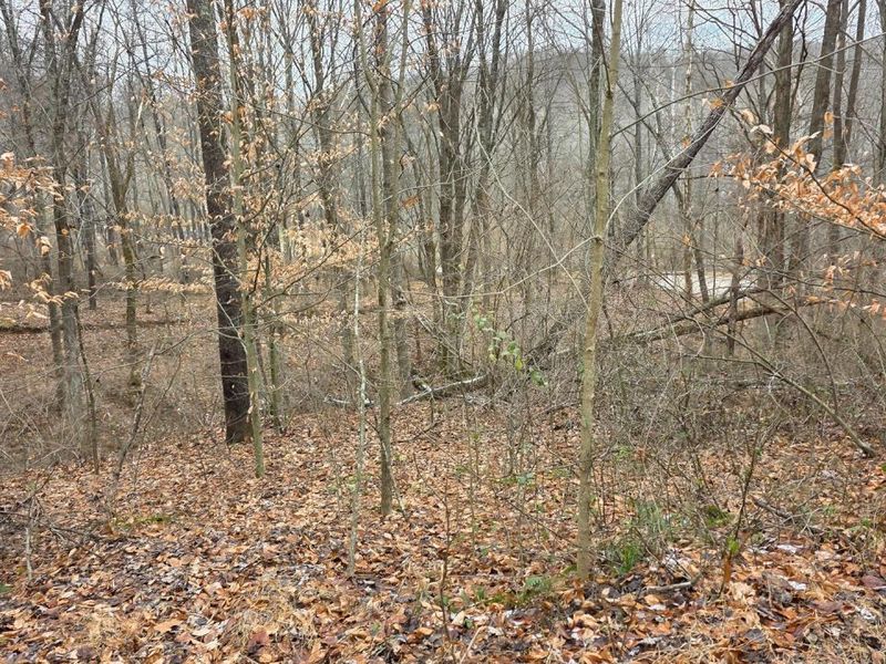 7905 Scenic Rd SE, Unit (Lot 13 at, Corning, OH 43730 Photo 39