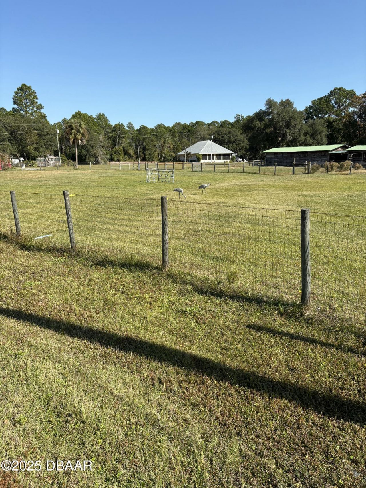 1045 Buckles Road, Pierson, FL 32180 Photo