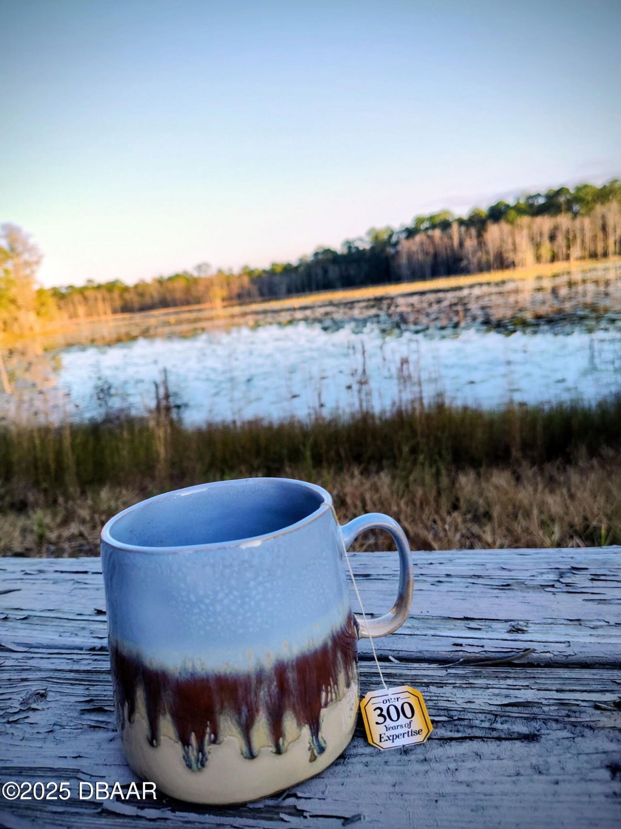 1045 Buckles Road, Pierson, FL 32180 Photo