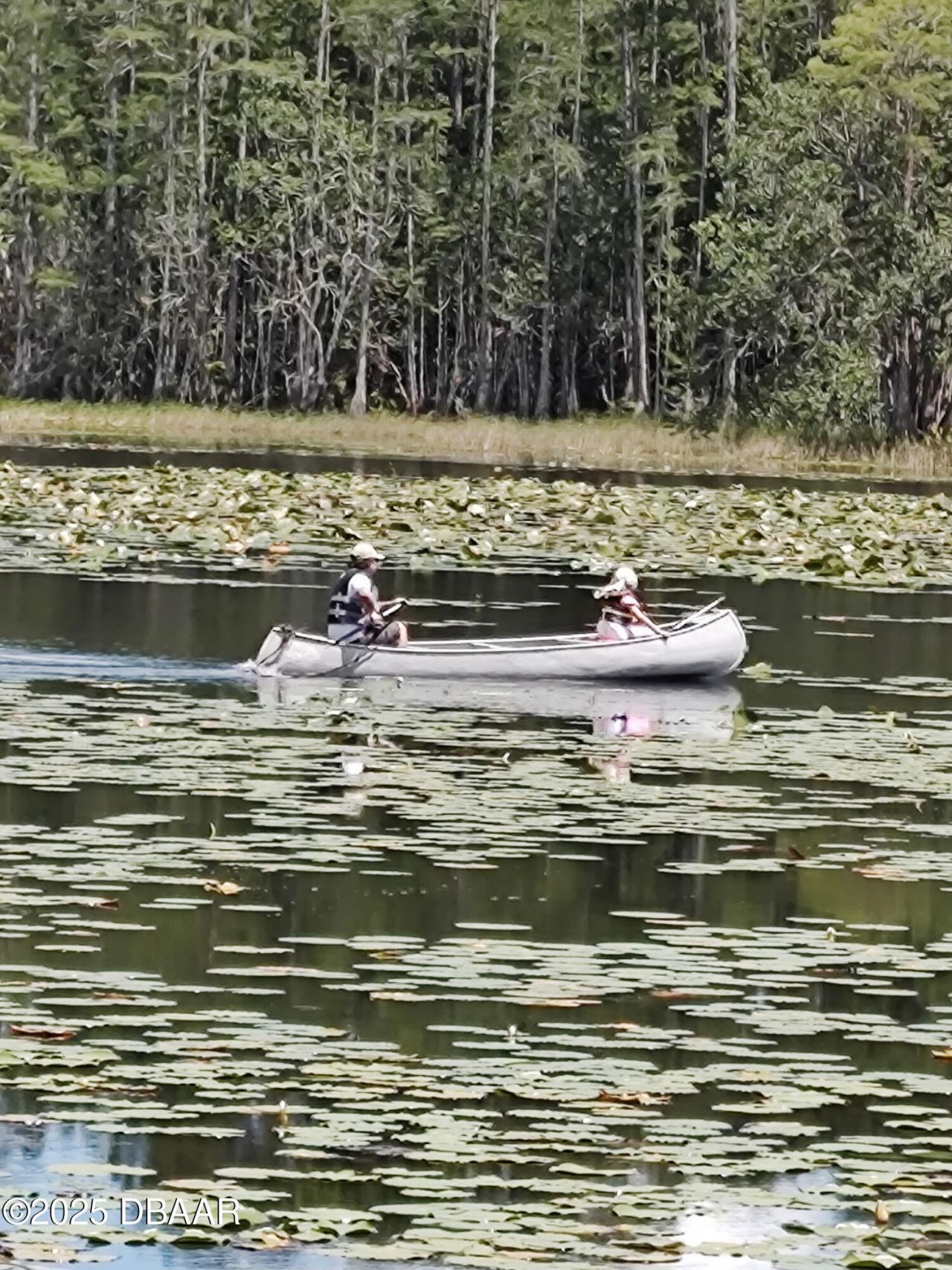 1045 Buckles Road, Pierson, FL 32180 Photo