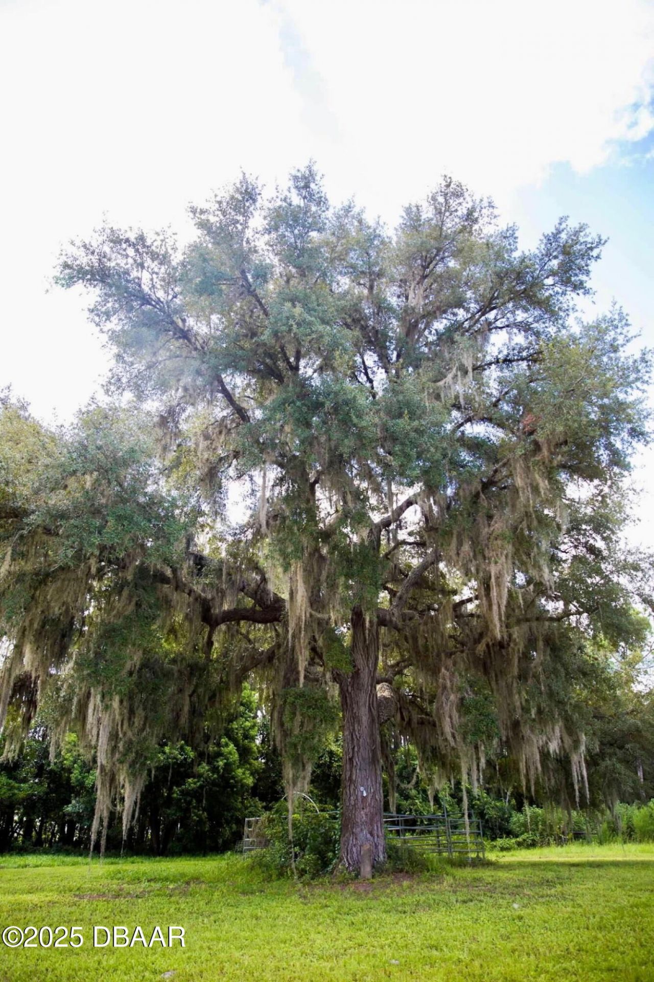 1045 Buckles Road, Pierson, FL 32180 Photo