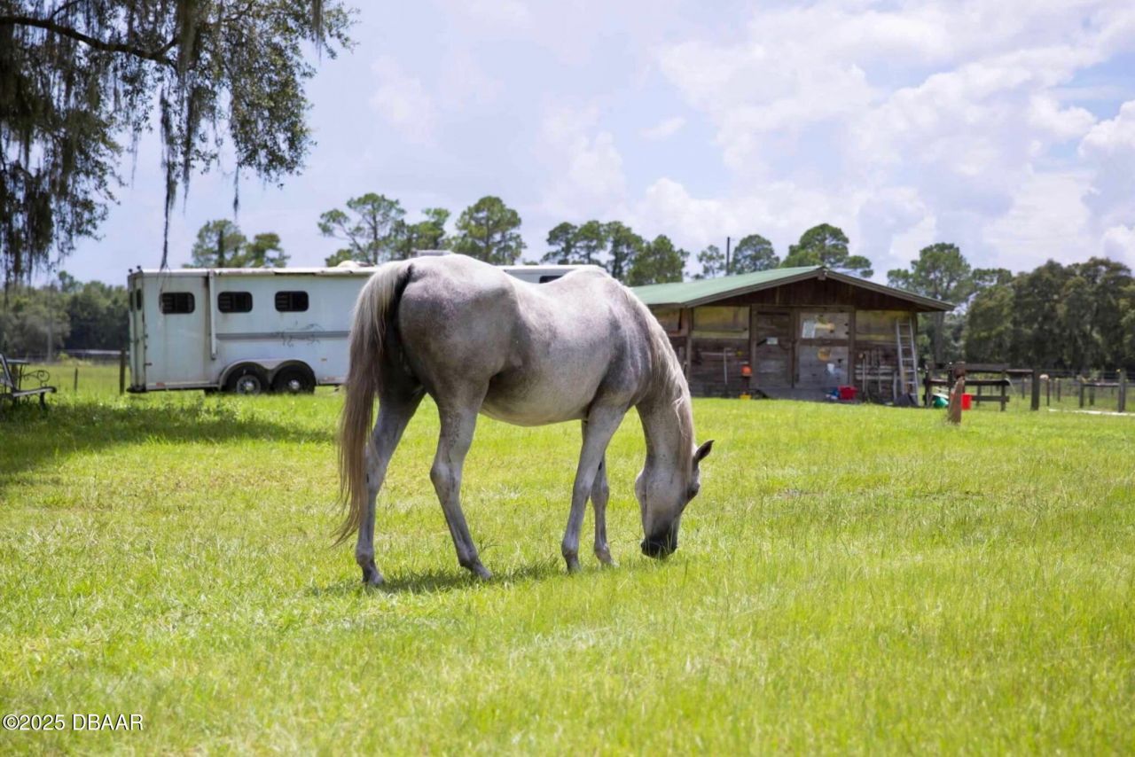 1045 Buckles Road, Pierson, FL 32180 Photo