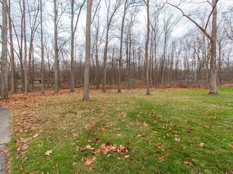 3125 Granger Road, Medina, OH 44256 Photo 34