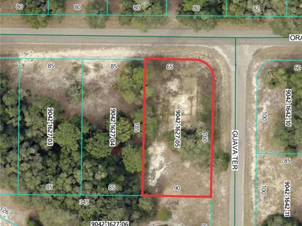 11745 ORANGE ROAD, OCKLAWAHA, FL 32179
