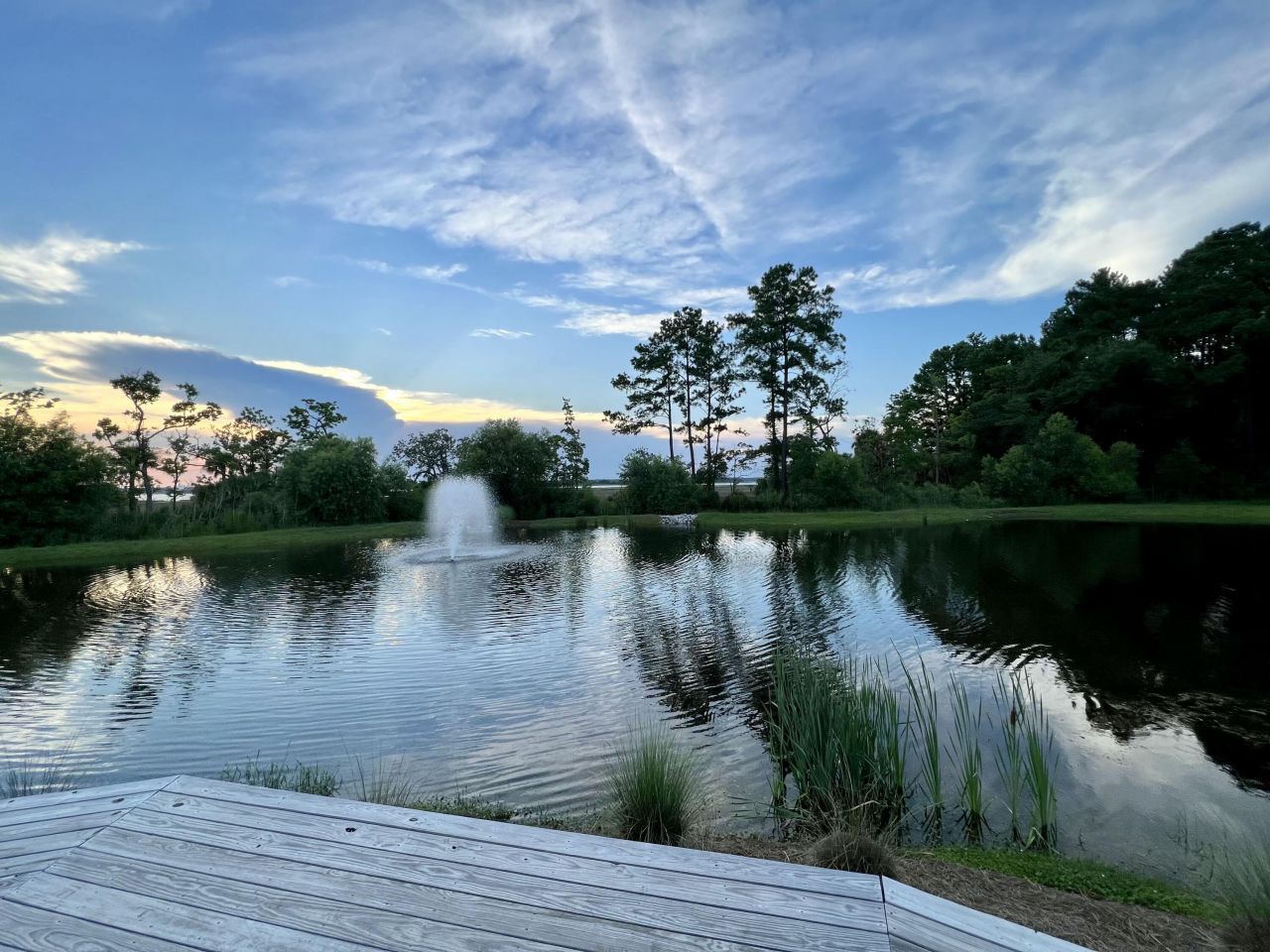 249 Rowans Creek Drive Photo 48