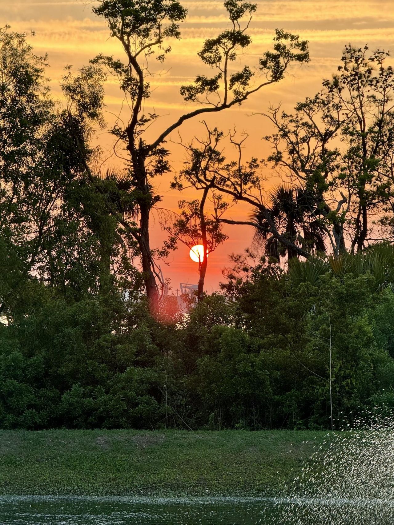 249 Rowans Creek Drive Photo 49