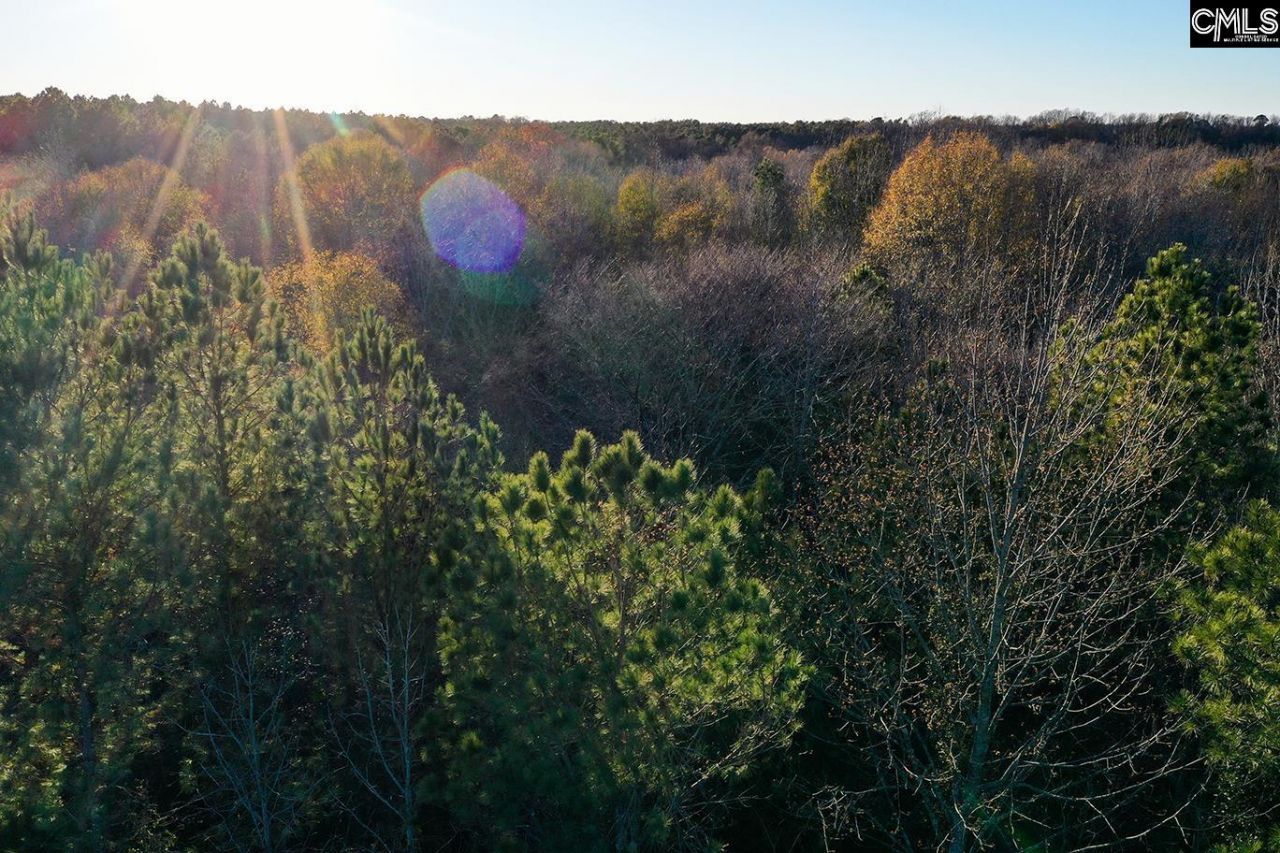 0 Rocky Creek Road Photo 10