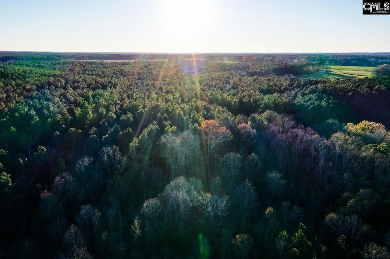 0 Rocky Creek Road Photo 11