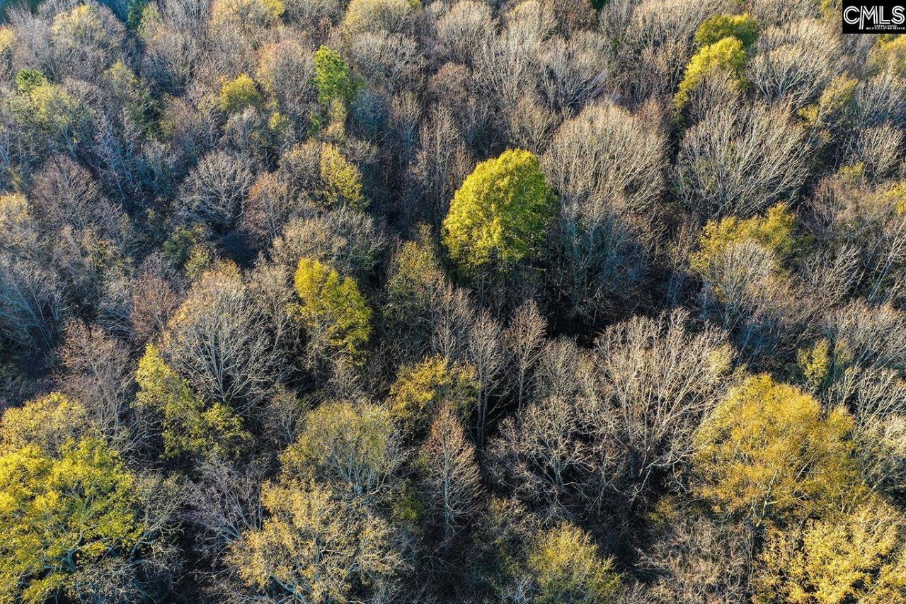 0 Rocky Creek Road Photo 5