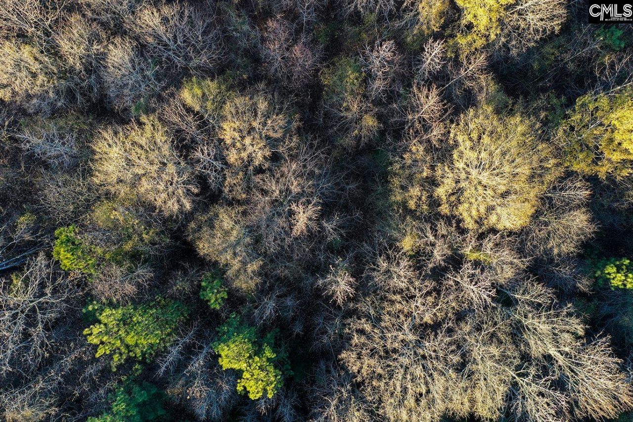 0 Rocky Creek Road Photo 6