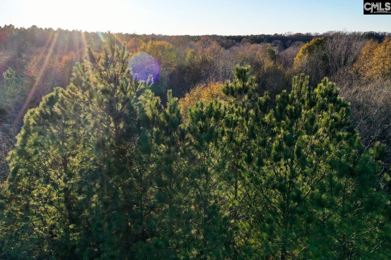 0 Rocky Creek Road Photo 9