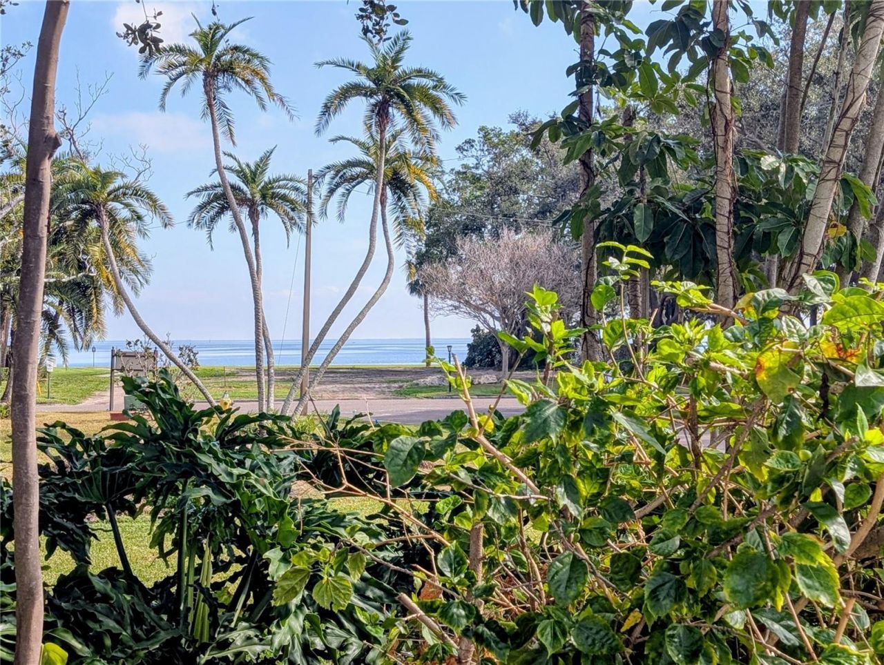 111 58th Avenue S, Saint Petersburg, FL 33705 Photo