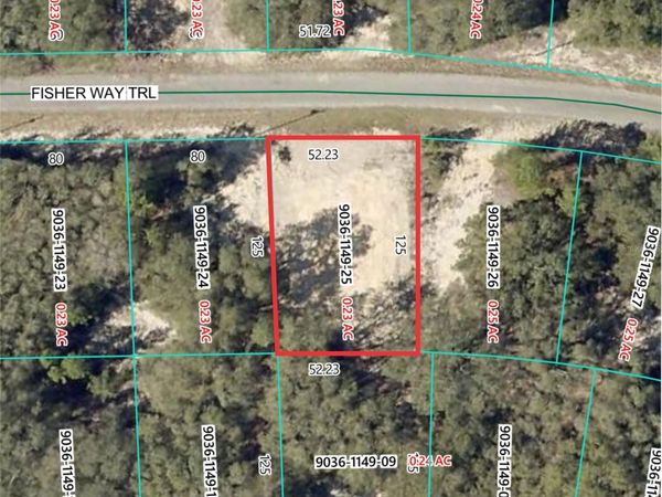 26 FISHER WAY TRAIL, OCKLAWAHA, FL 32179