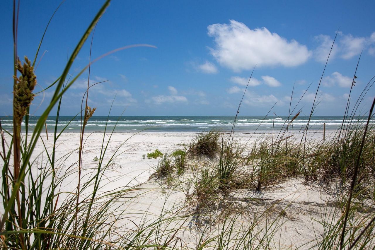 265 Minorca Beach Way, Unit 404, New Smyrna Beach, FL 32169 Photo