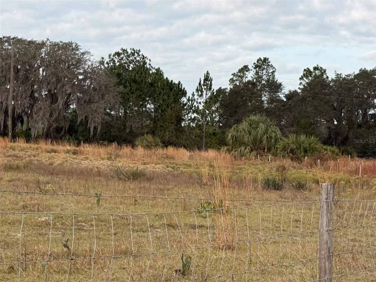 29605 Fullerville Road, Deland, FL 32720 Photo