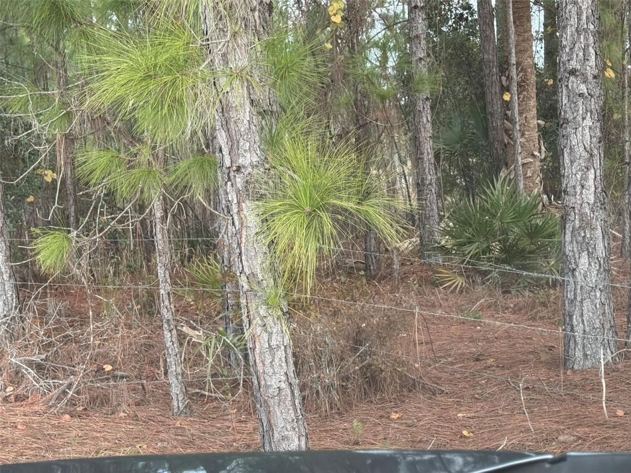 29605 Fullerville Road, Deland, FL 32720 Photo