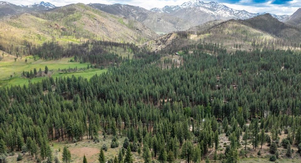 Lot 11 Silver Peak Rd, Markleeville, CA 96120 Photo