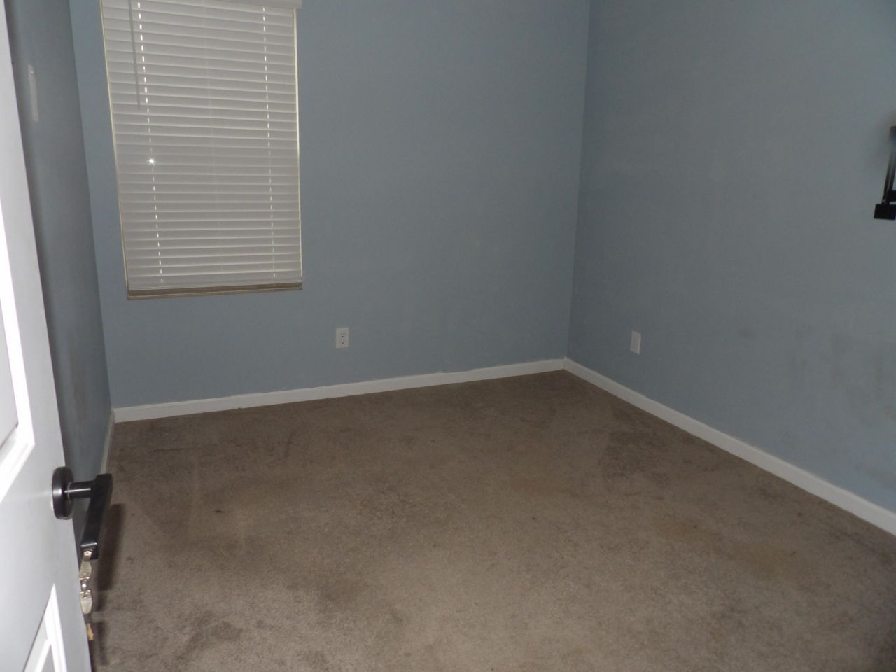 1029 Berry Patch Circle Photo 10