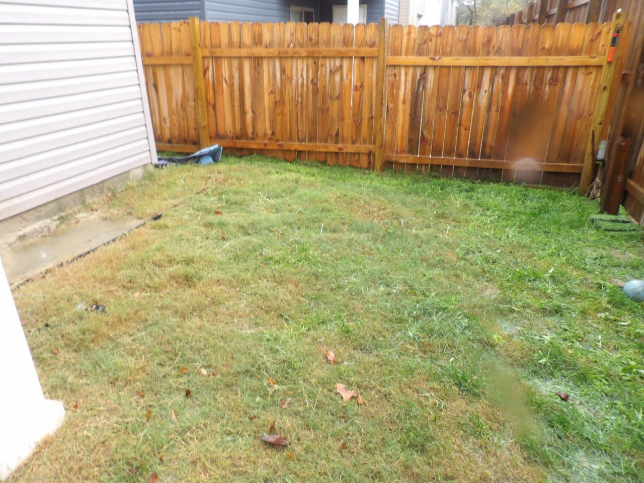 1029 Berry Patch Circle Photo 12