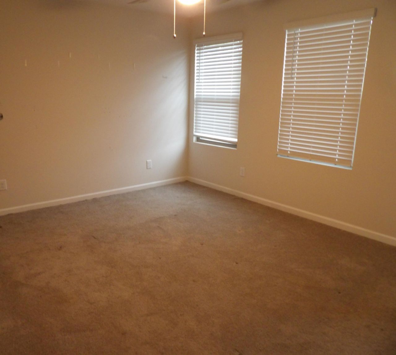 1029 Berry Patch Circle Photo 5