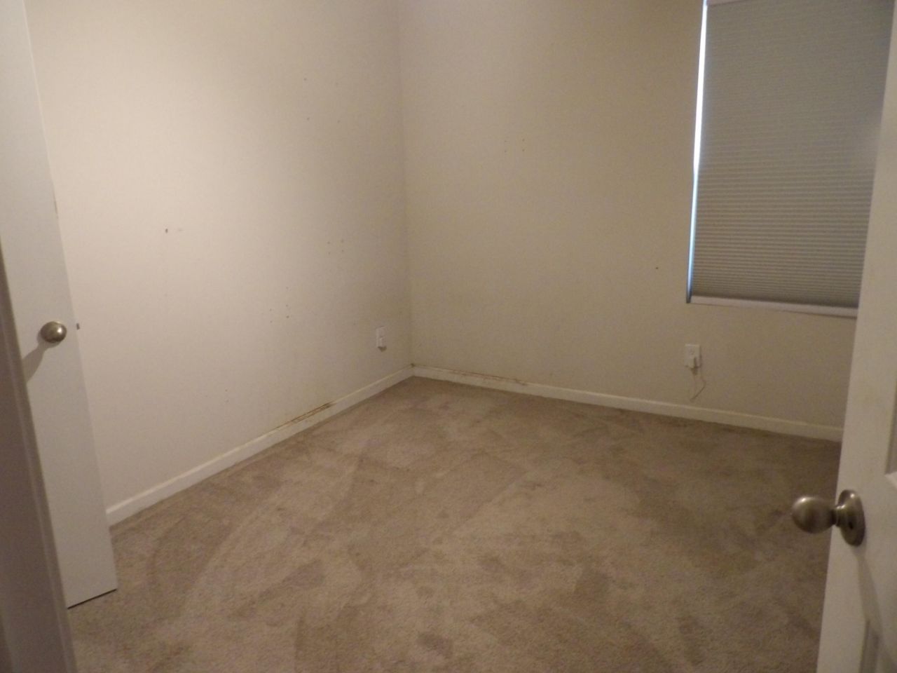 1029 Berry Patch Circle Photo 8