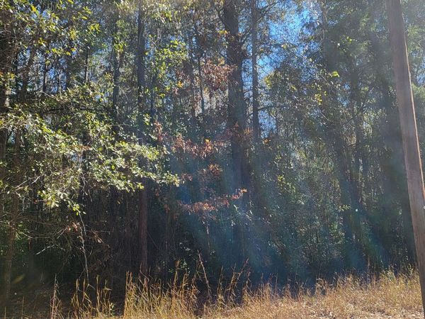 0 Lumpkin Street, Albany, GA 31705