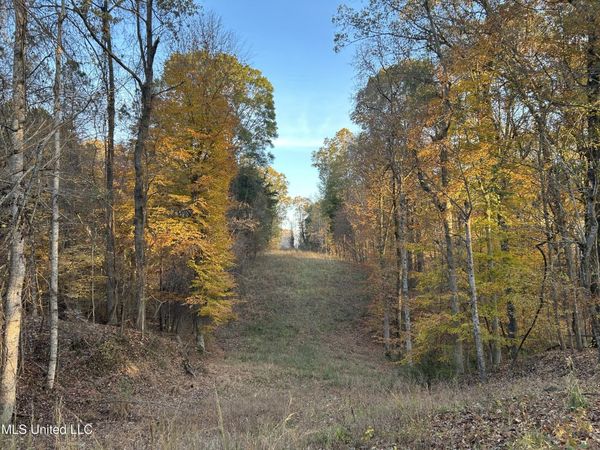 Perry Creek Road, Yazoo City, MS 39194